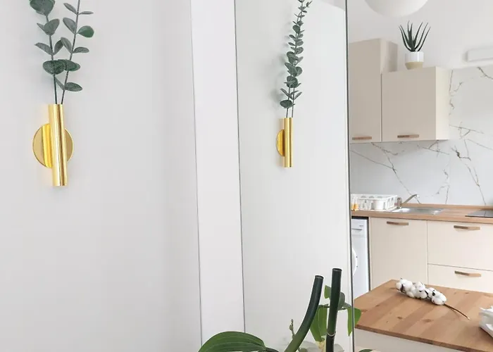 Daire Metelkova Ljubljana