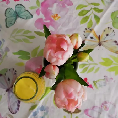 Metelkova * Ljubljana